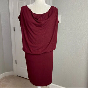 Alice + Olivia Cowl Neck Blouson Shimmer Dress Sz XS